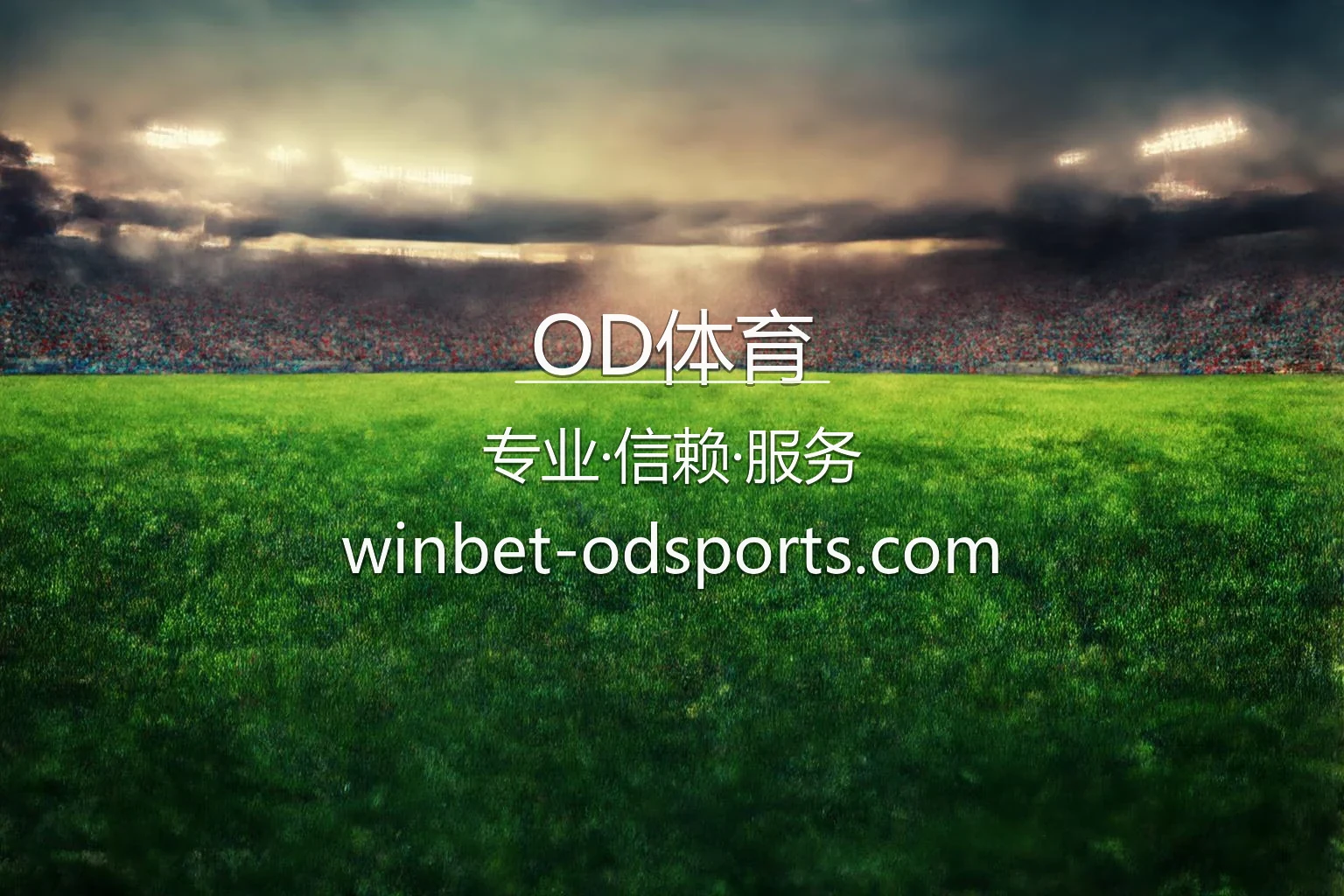 OD体育官网移动端展示
